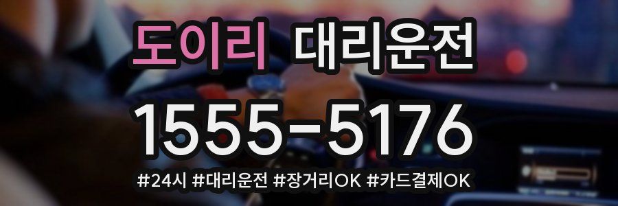 도이리 대리운전