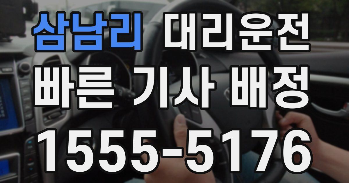 일일대리기사