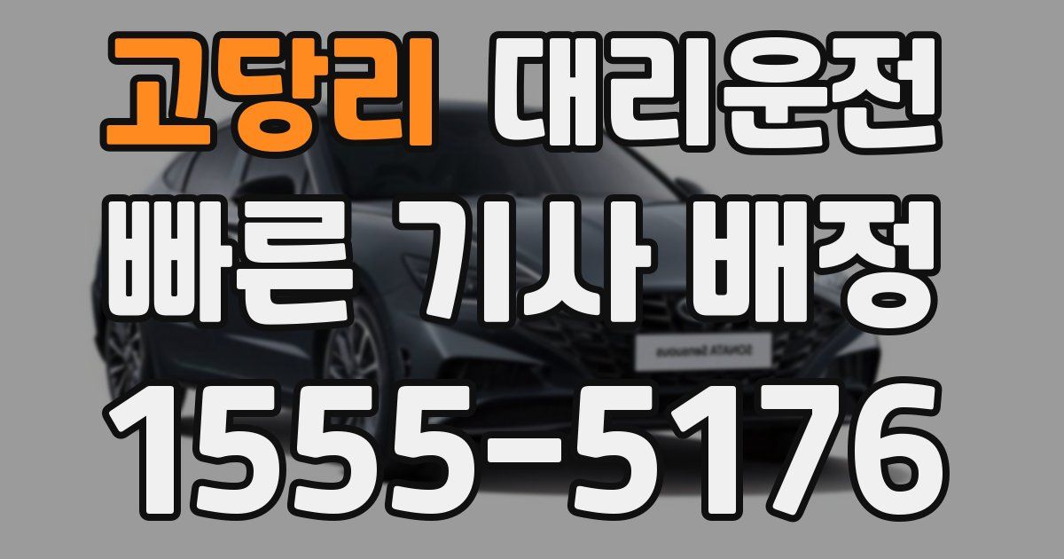 일일대리기사