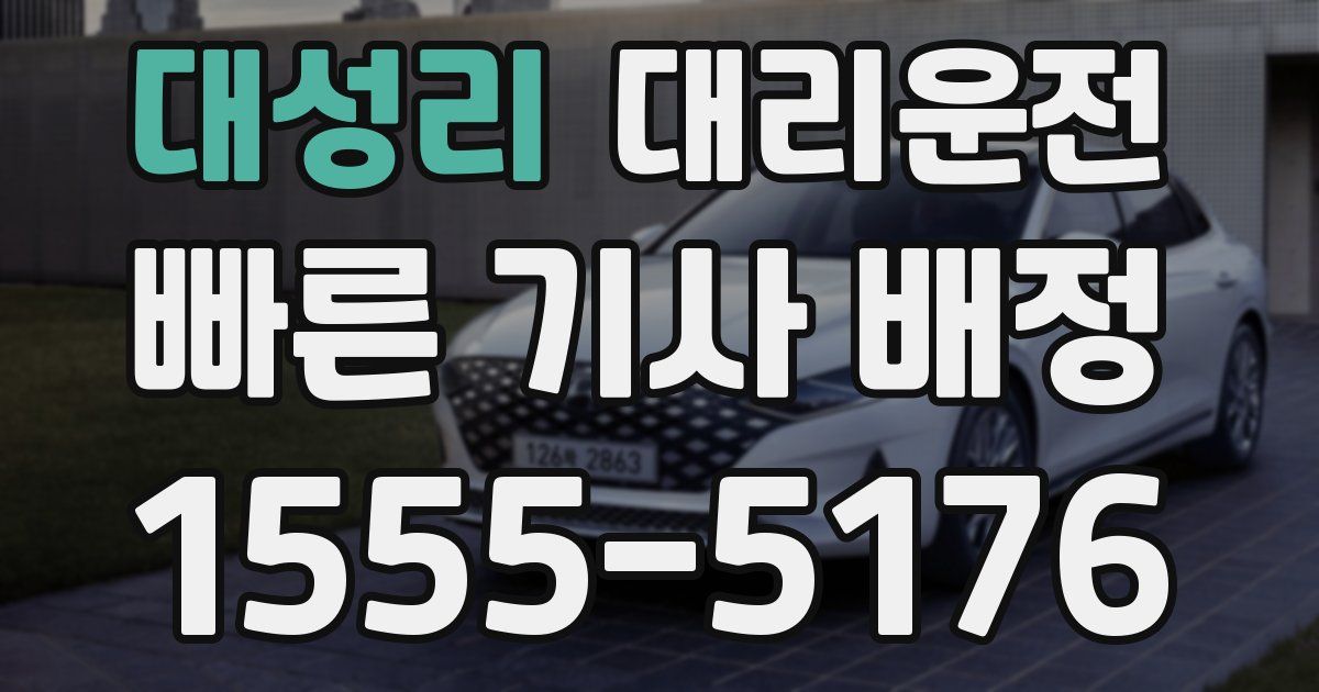 일일대리기사