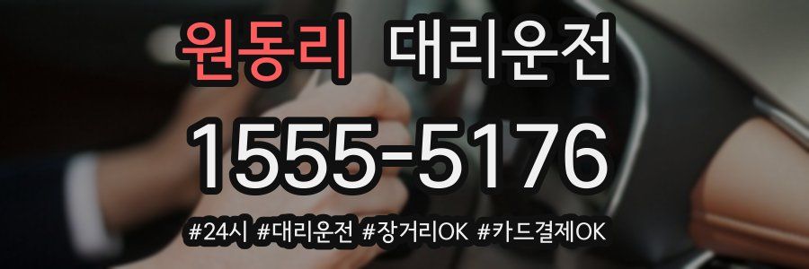 원동리 대리운전
