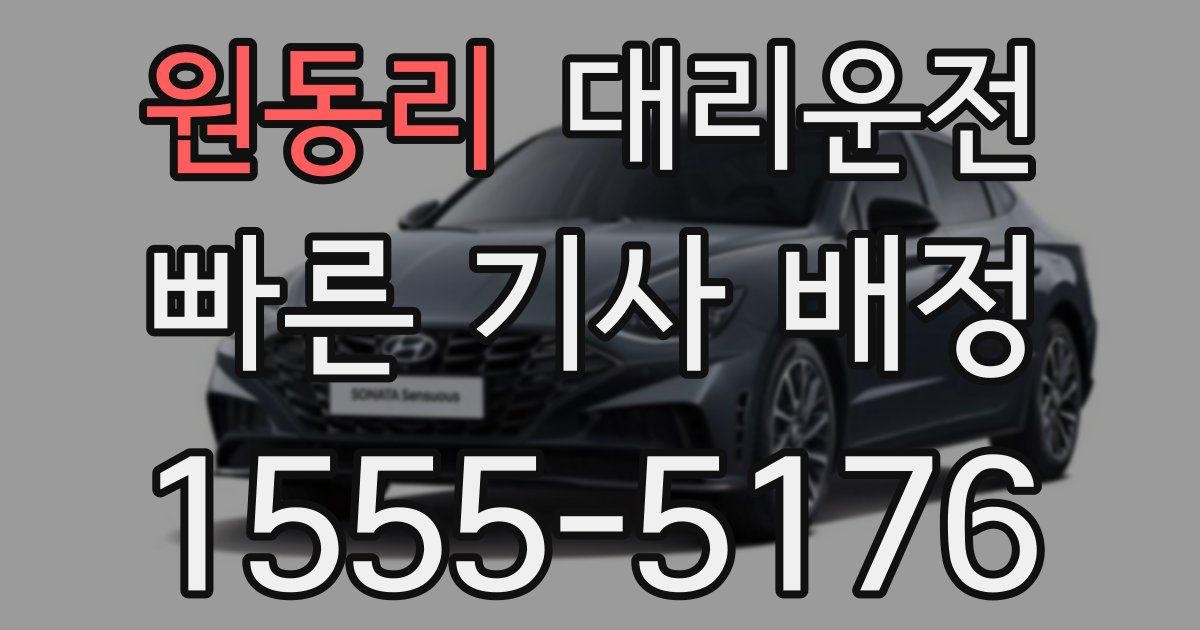일일대리기사