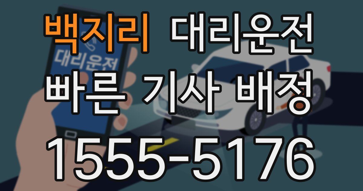 일일대리기사