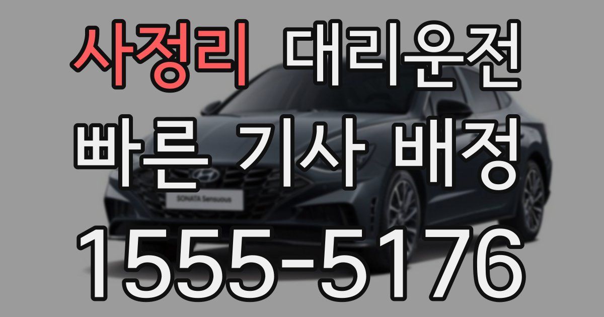 일일대리기사