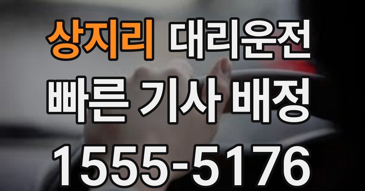 일일대리기사