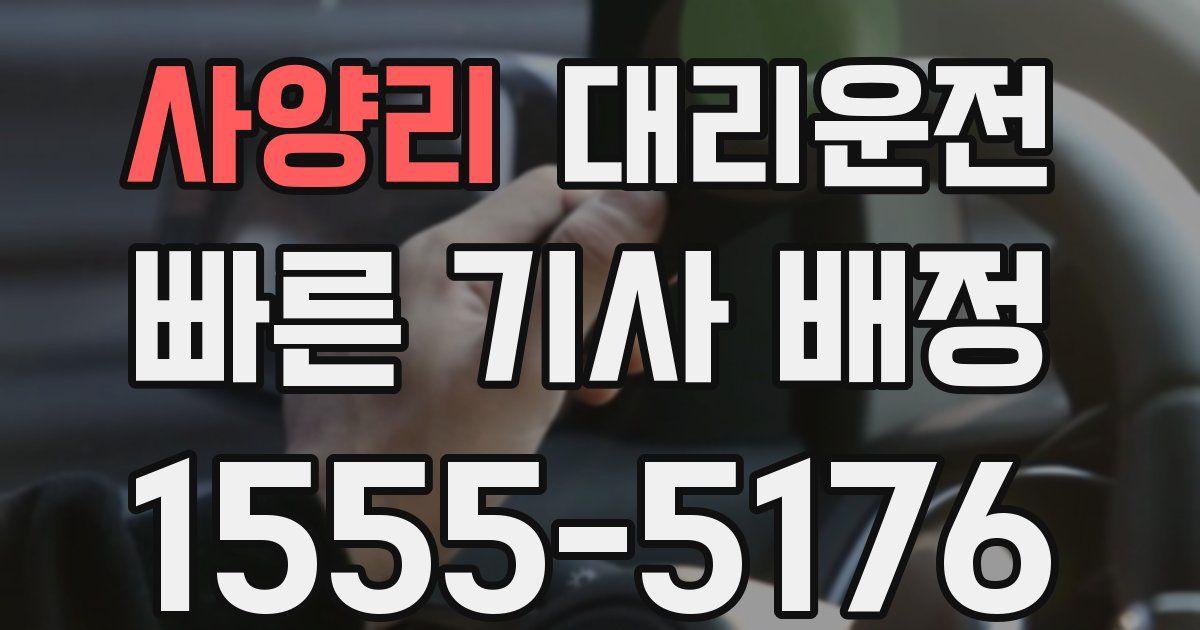 일일대리기사