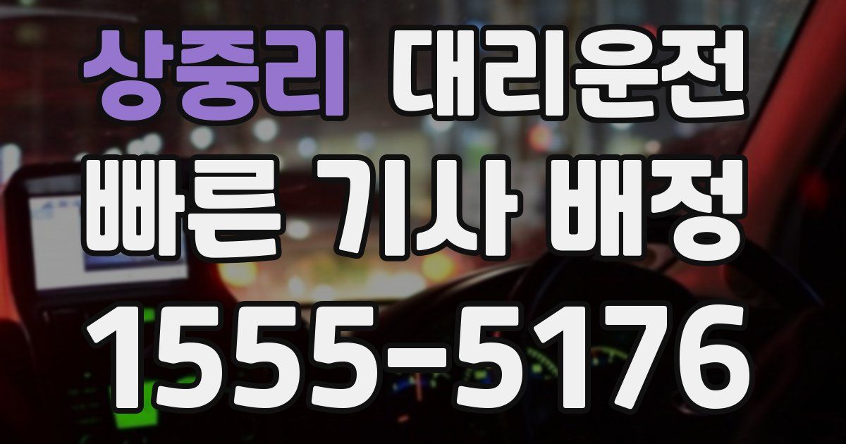 일일대리기사
