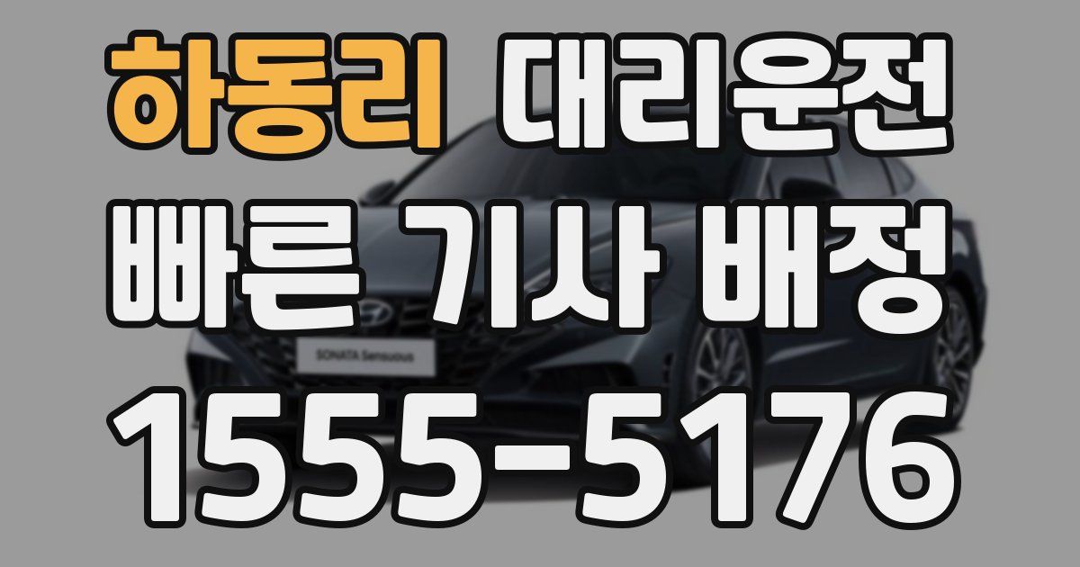일일대리기사