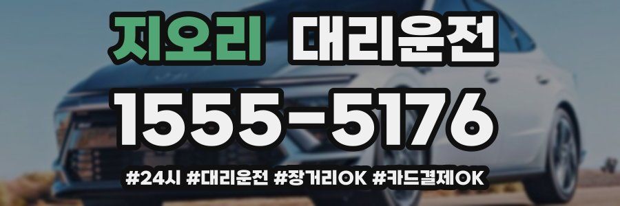 지오리 대리운전