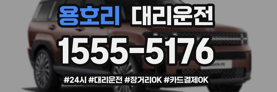 용호리 대리운전