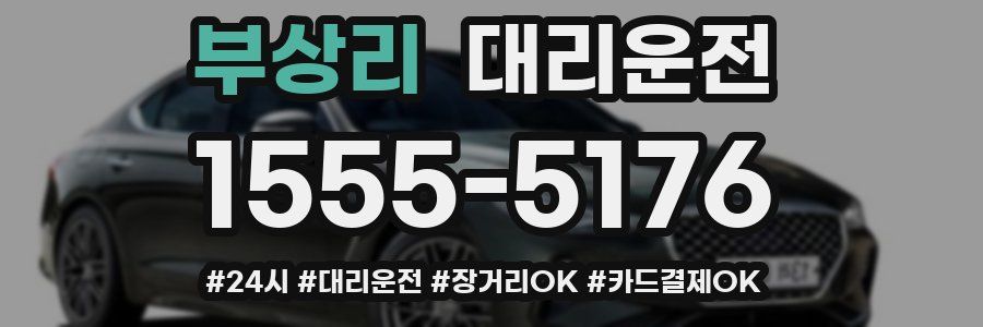 부상리 대리운전