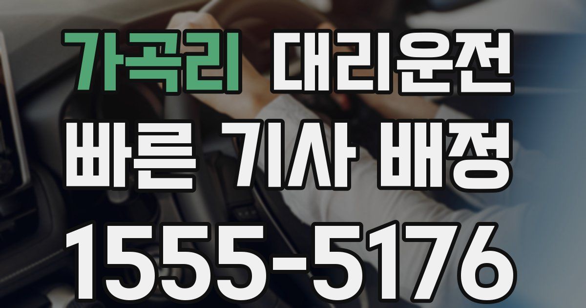 일일대리기사
