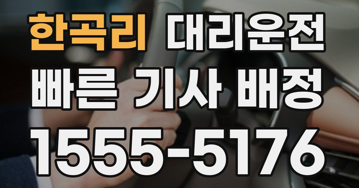 일일대리기사