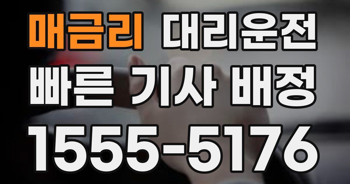 일일대리기사