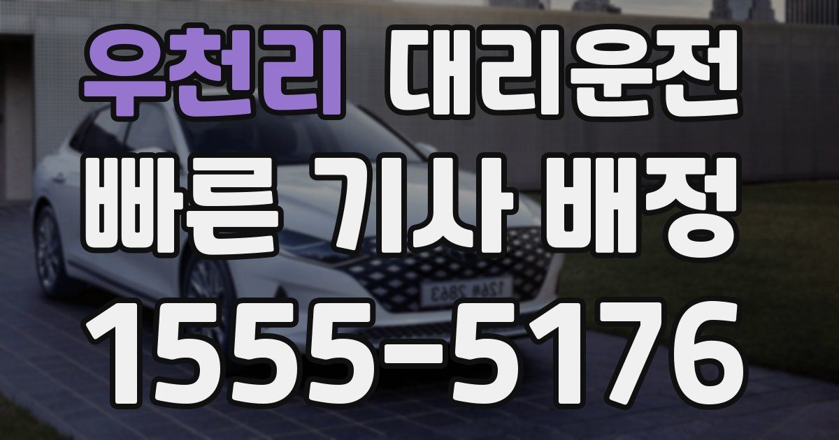 일일대리기사