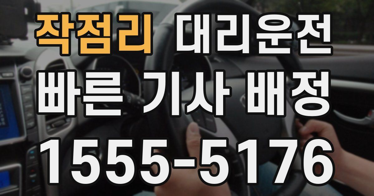 일일대리기사