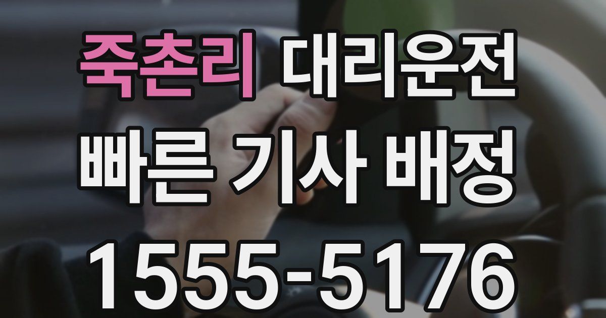 일일대리기사