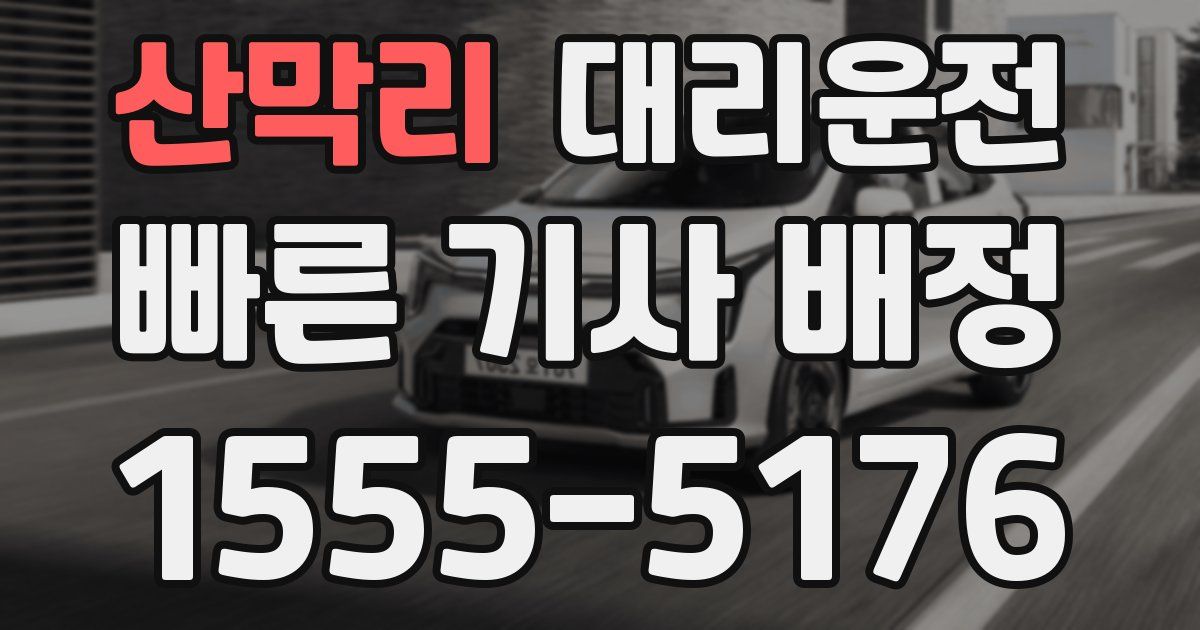 일일대리기사