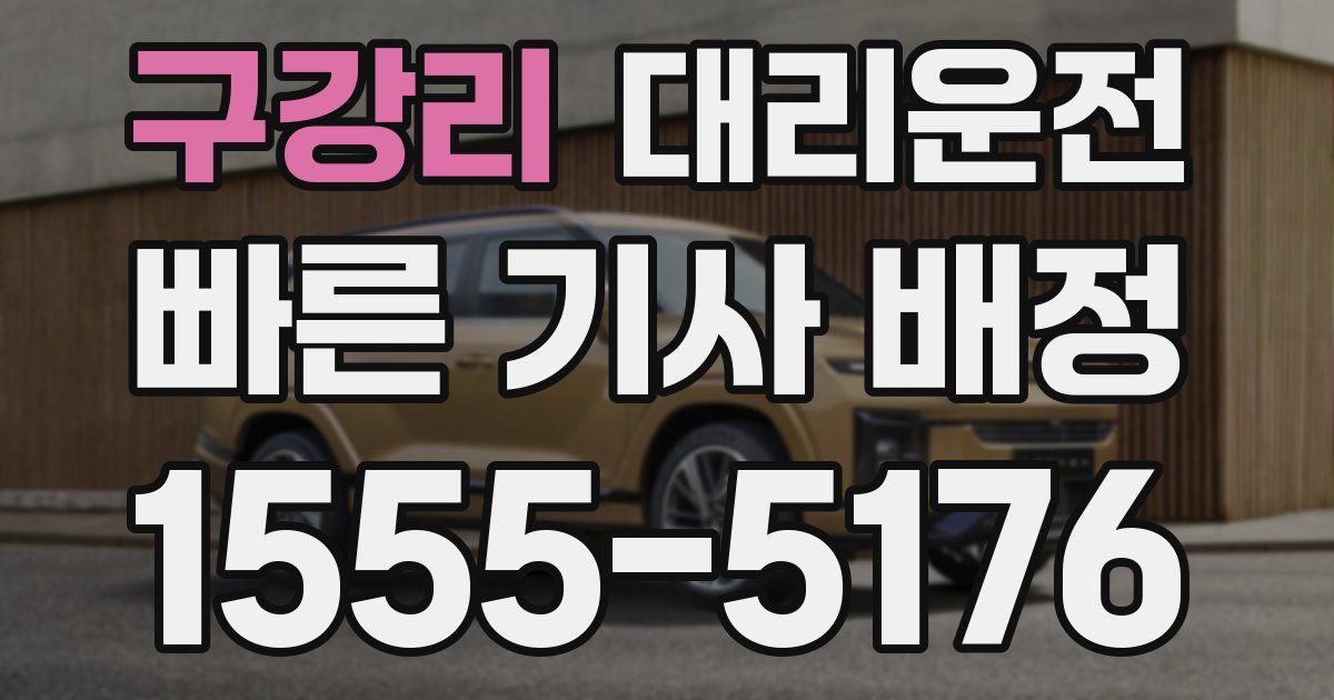 일일대리기사