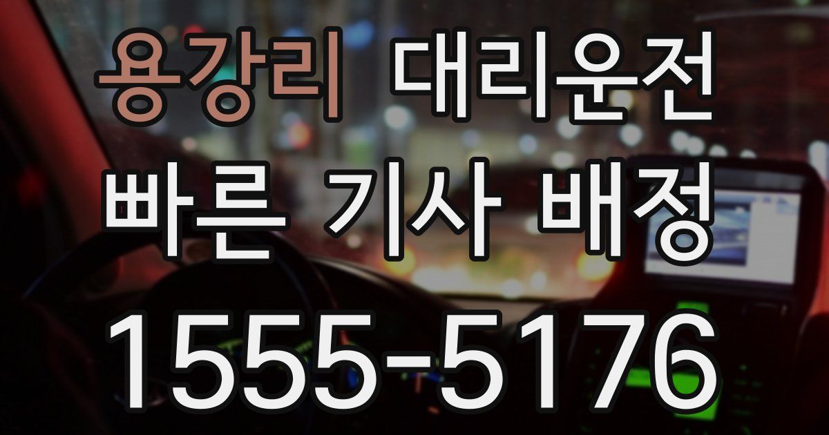 일일대리기사