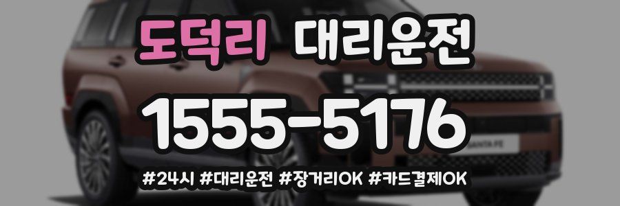 도덕리 대리운전