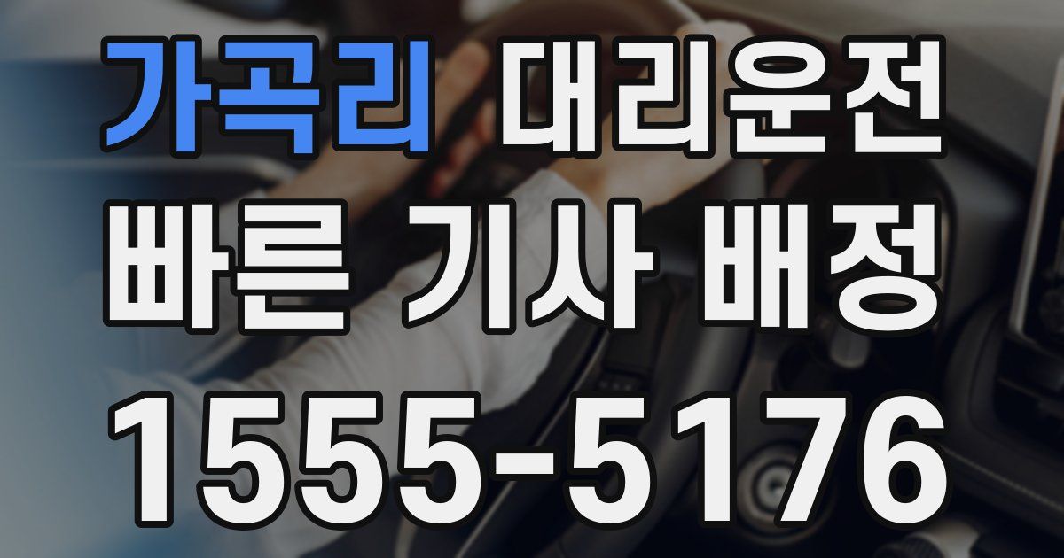 일일대리기사