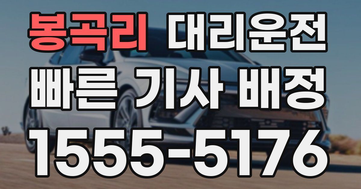 일일대리기사