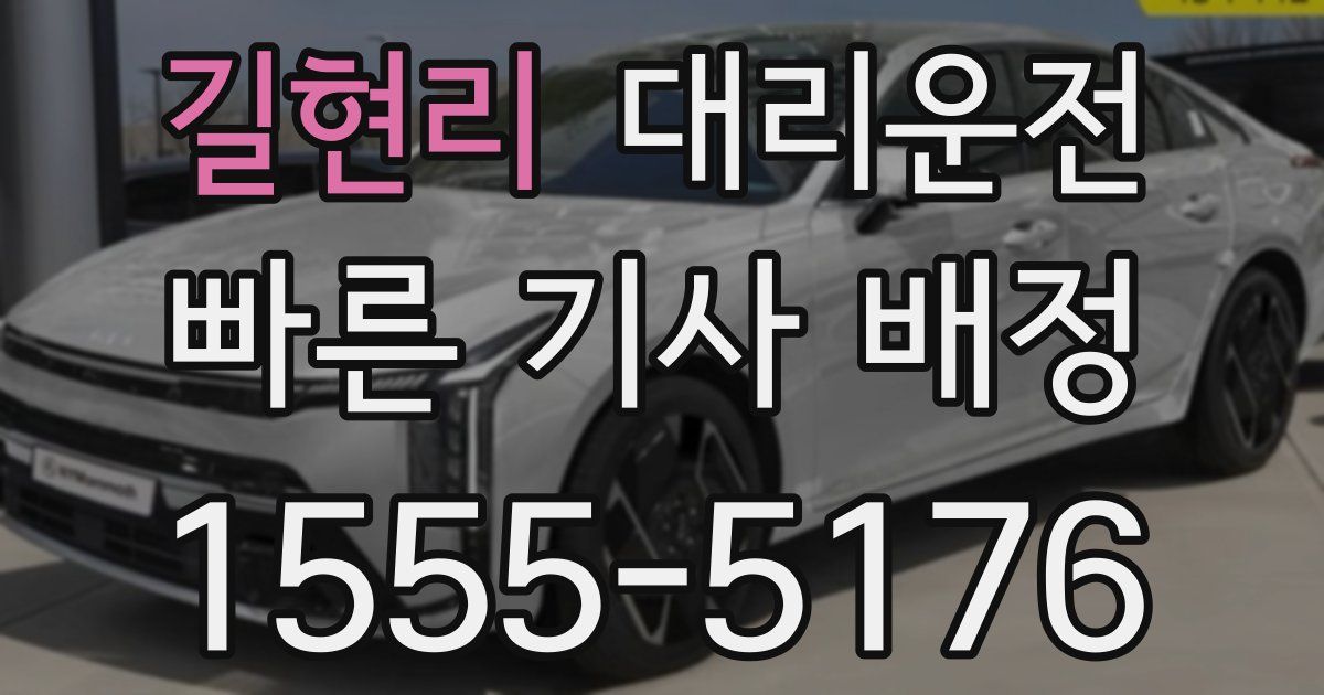 일일대리기사