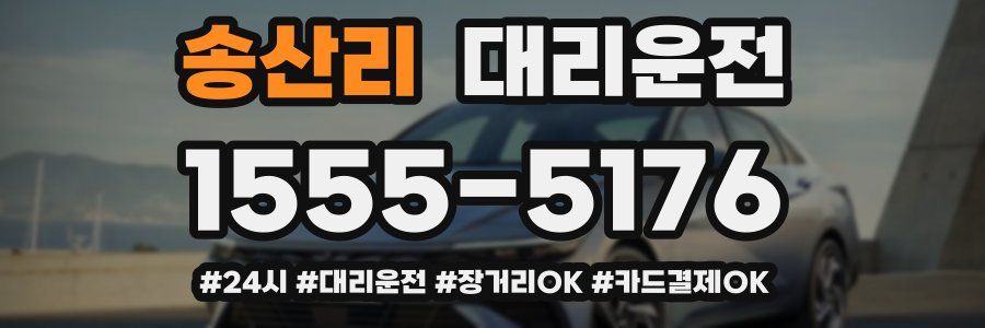 송산리 대리운전