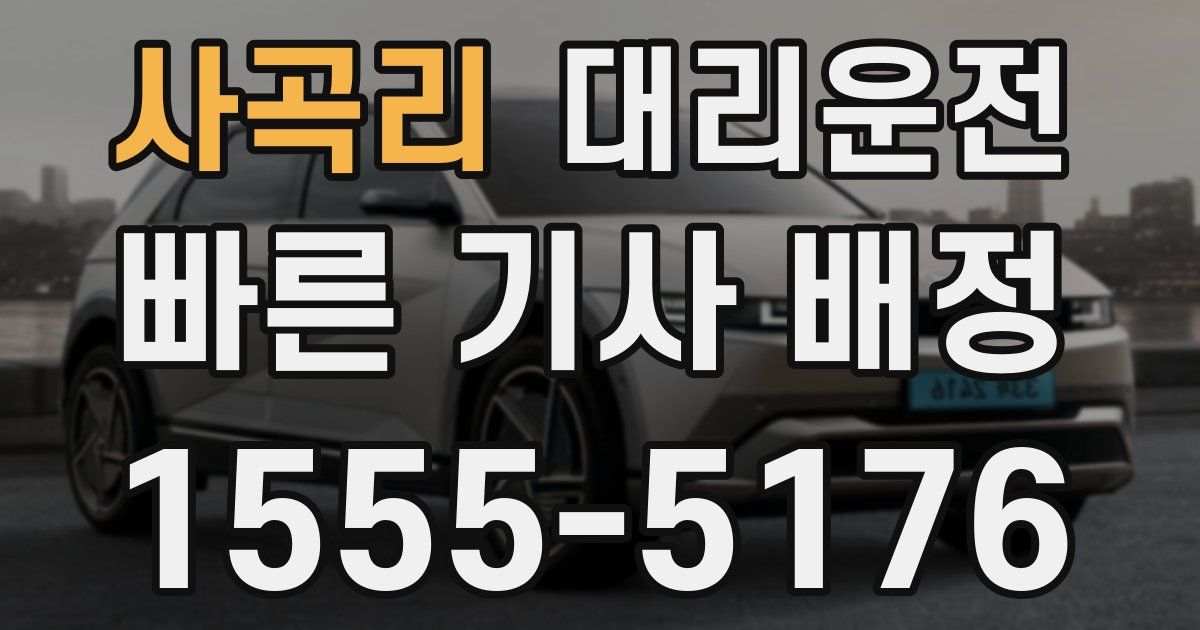 일일대리기사