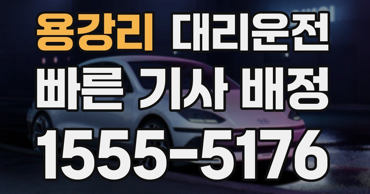 일일대리기사