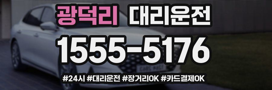 광덕리 대리운전