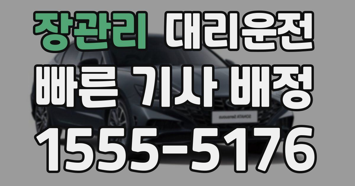 일일대리기사