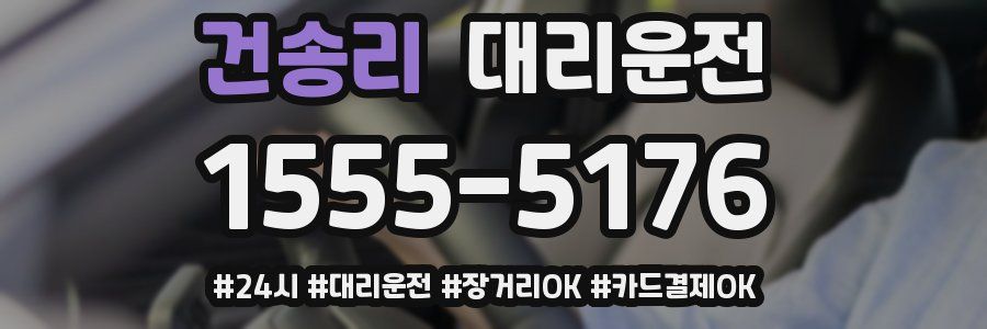건송리 대리운전