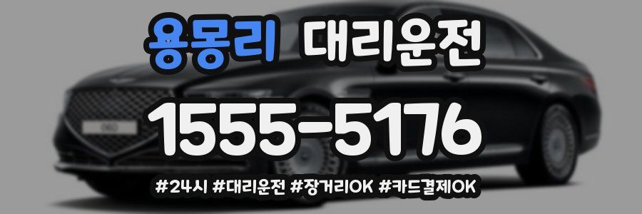 용몽리 대리운전