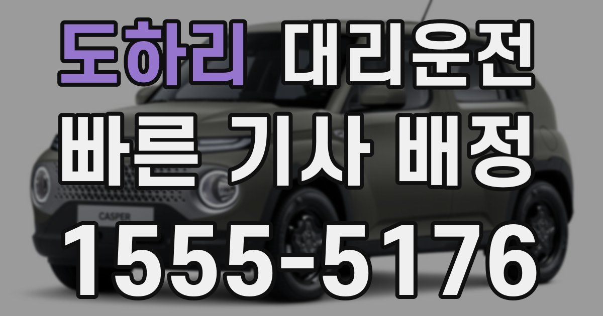 일일대리기사