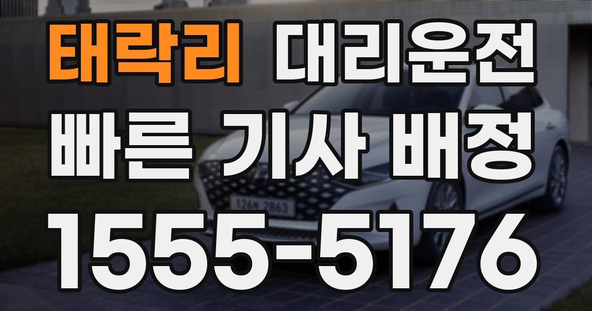 일일대리기사