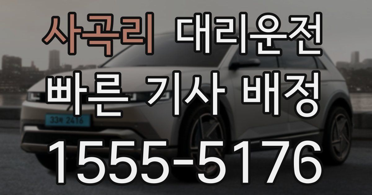 일일대리기사