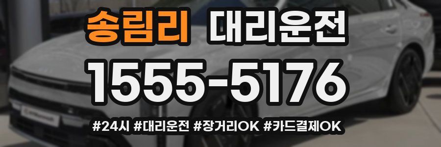 송림리 대리운전