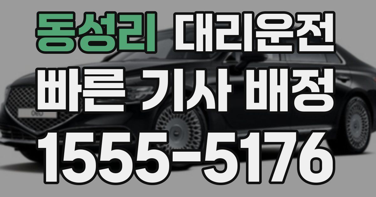 일일대리기사