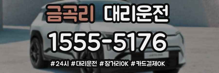 금곡리 대리운전