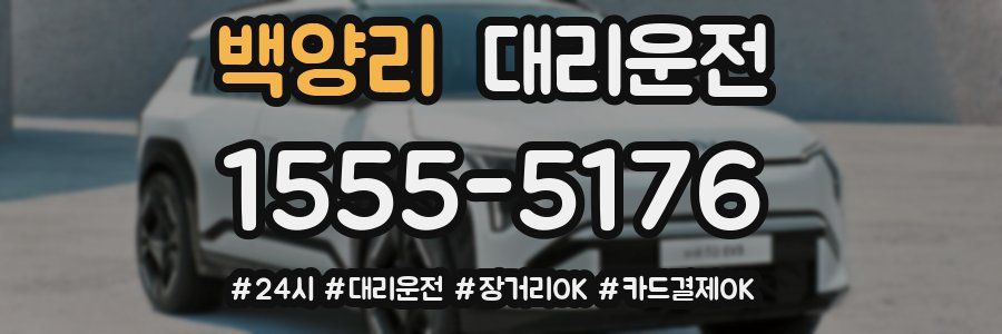 백양리 대리운전