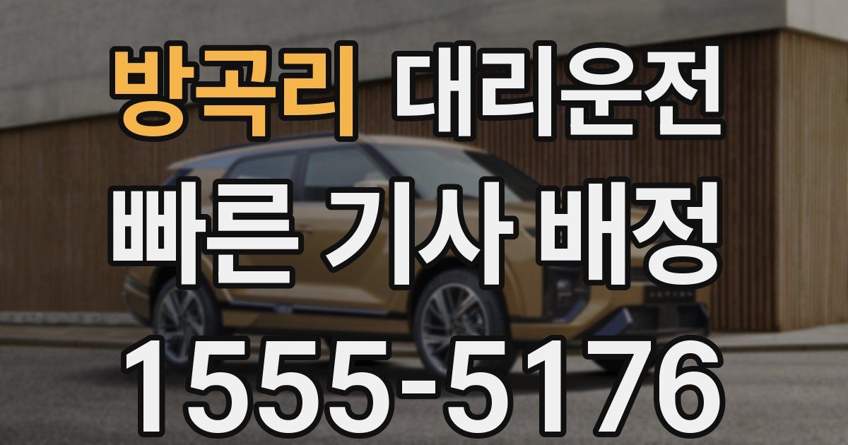 일일대리기사