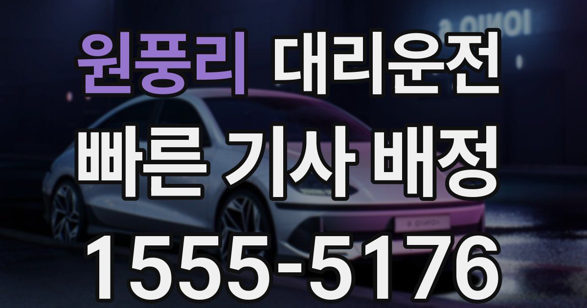 일일대리기사