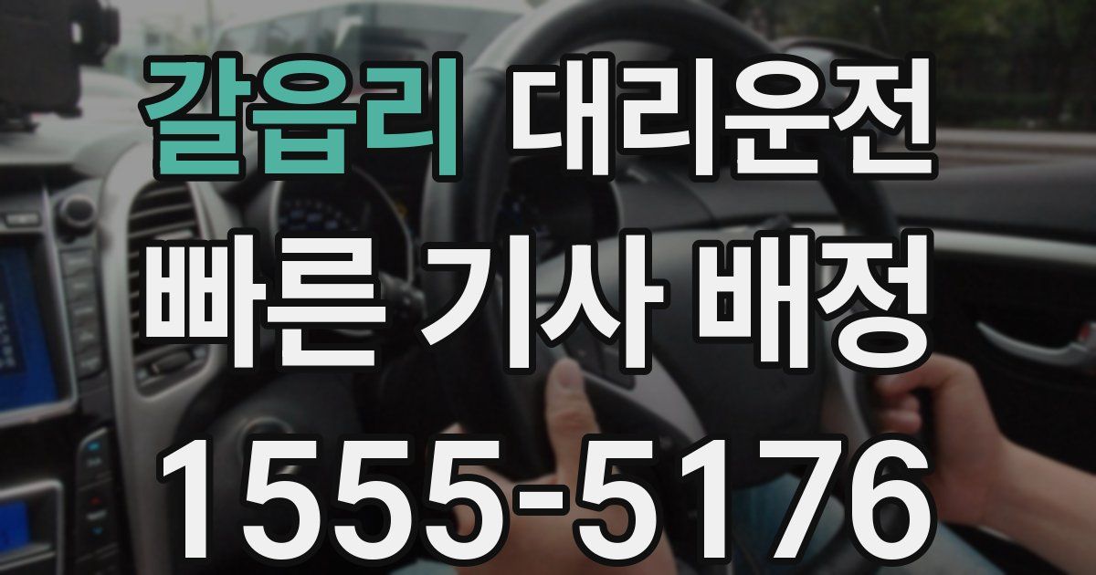 일일대리기사