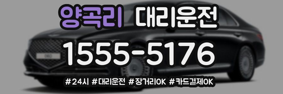 양곡리 대리운전