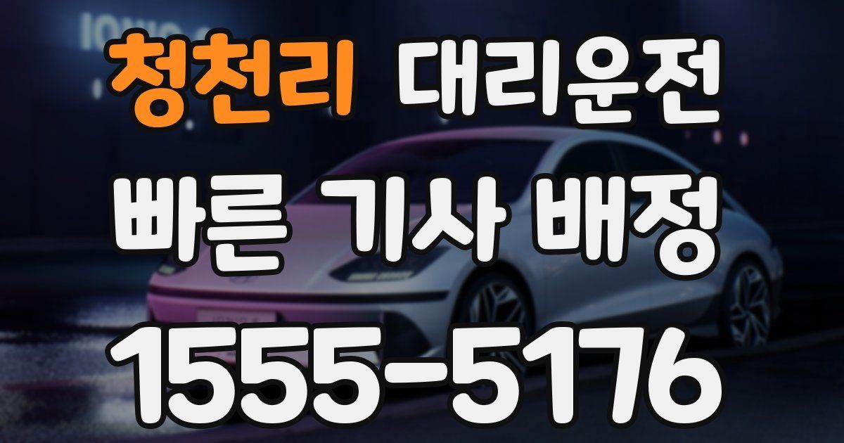 일일대리기사