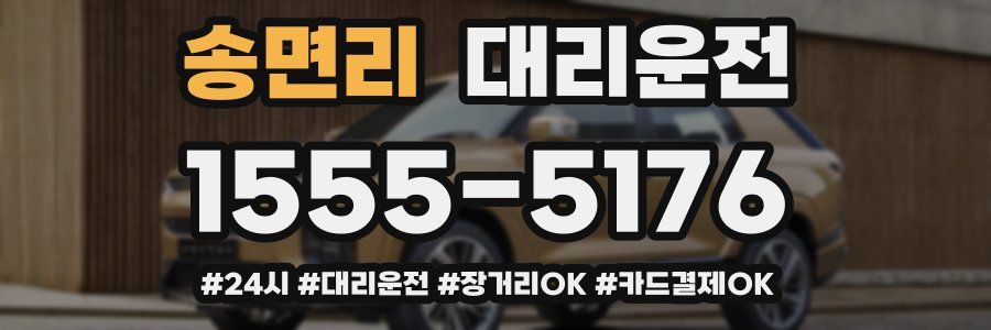 송면리 대리운전