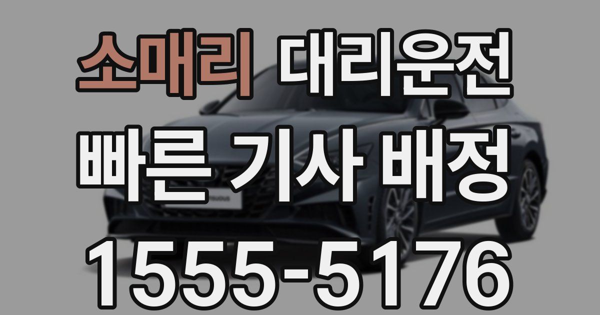 일일대리기사