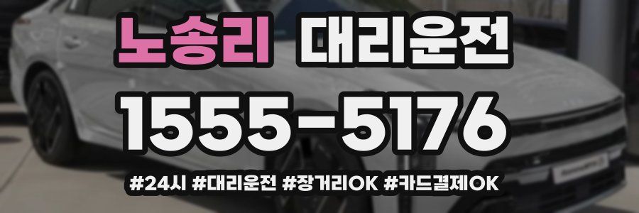 노송리 대리운전